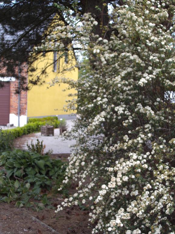 B&B Het Uilennest Bocholt Exterior photo